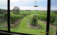 Pennyroyal Raspberry Farm & Cidery - thumb 0