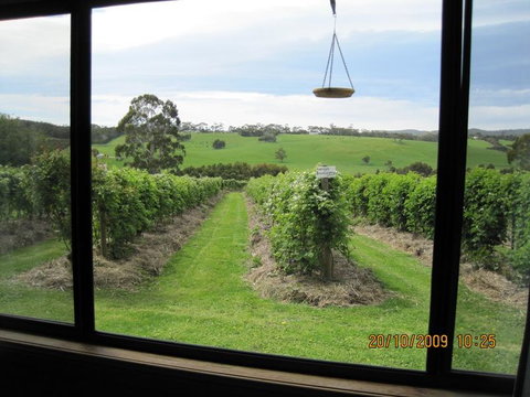 Pennyroyal Raspberry Farm & Cidery - Accommodation Great Ocean Road 0