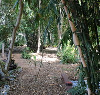Rainforest Water Front River Shack Secluded. - Accommodation Great Ocean Road