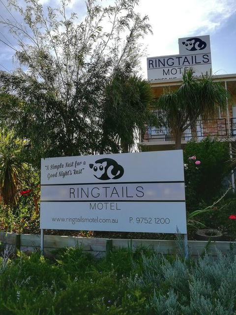 Ringtails Motel - Accommodation Great Ocean Road 3
