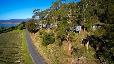 River Vineyard Retreat - Accommodation Great Ocean Road 1