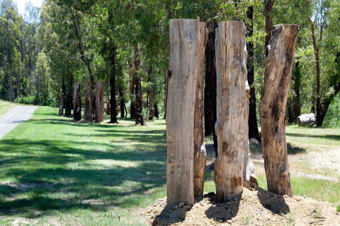 Saladin Lodge - Accommodation Great Ocean Road 2
