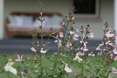 Serendipity On Allyn - Accommodation Great Ocean Road 0