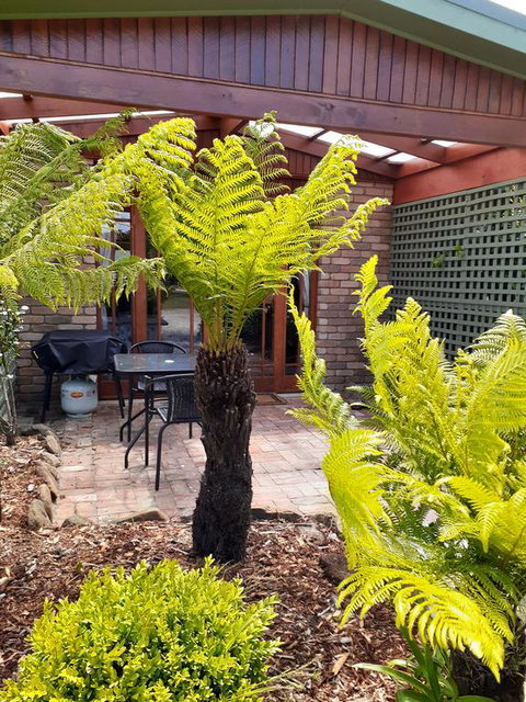 Sleepy Hollow Hideout (Hidout 2) - Accommodation Great Ocean Road 1