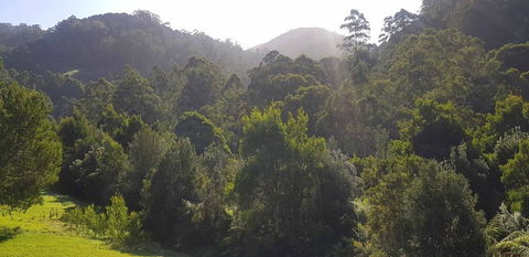 Tall Trees Retreat - Accommodation Great Ocean Road 1