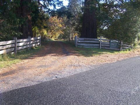 Drumreagh Cabins - Accommodation Great Ocean Road 7