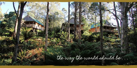 Lemonthyme Wilderness Retreat - Accommodation Great Ocean Road 20