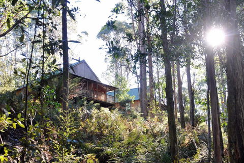 Lemonthyme Wilderness Retreat - Accommodation Great Ocean Road 25