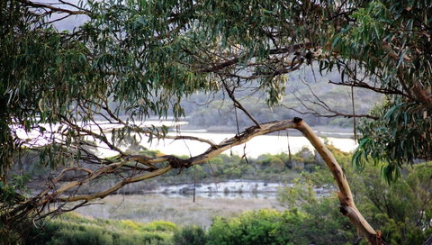 KINGFISHER COTTAGE Beachfront At The Binalong Bay - Accommodation Great Ocean Road 17