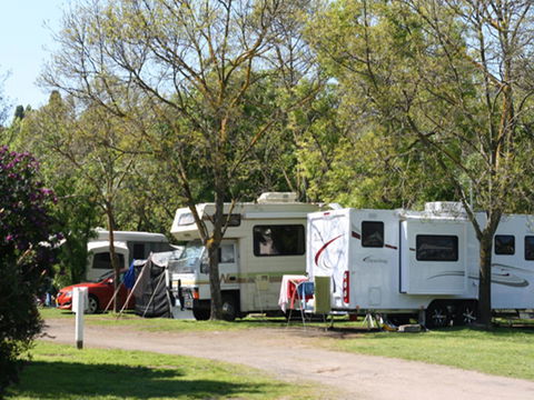 Tasman Holiday Parks - Geelong - Accommodation Great Ocean Road 21