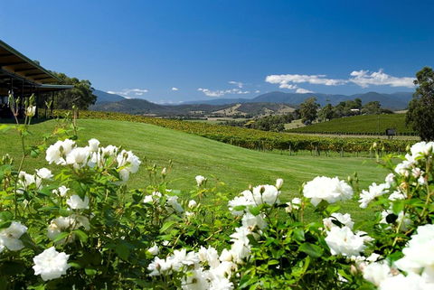 Balgownie Estate Yarra Valley - Accommodation Great Ocean Road 36