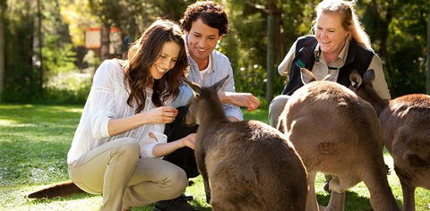 Balgownie Estate Yarra Valley - Accommodation Great Ocean Road 10