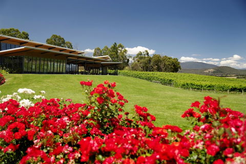 Balgownie Estate Yarra Valley - Accommodation Great Ocean Road 0