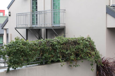 Quality Inn & Suites The Menzies - Accommodation Great Ocean Road 23