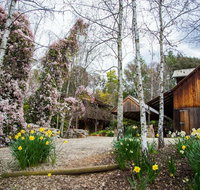 Lothlorien - Accommodation Great Ocean Road