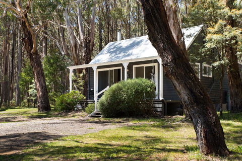 Bodhi Daylesford - Accommodation Great Ocean Road 26
