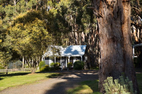 Bodhi Daylesford - Accommodation Great Ocean Road 8