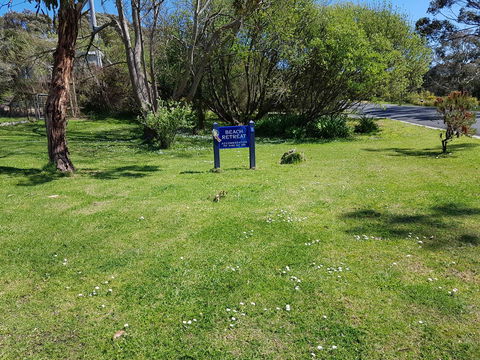 Beach Retreat Apartment Marengo - Accommodation Great Ocean Road 7