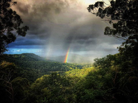 The Den Of The Treehouse, KINABALU Farm - Accommodation Great Ocean Road 0