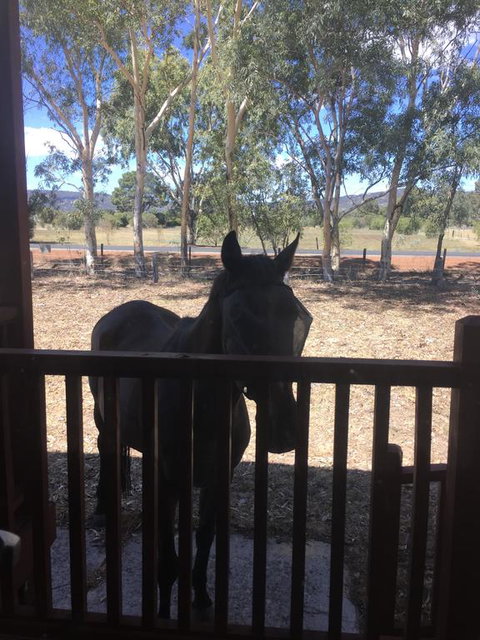 Thie My Chree Retreat - Accommodation Great Ocean Road 3
