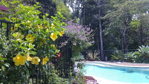 Tropical Coast Retreat - Pet Friendly - Accommodation Great Ocean Road 0