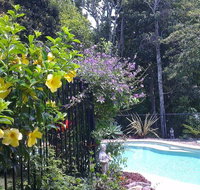 Tropical Coast Retreat - Pet Friendly - Accommodation Great Ocean Road