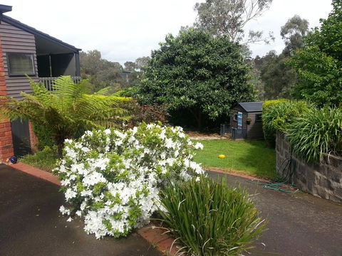 Warrandyte Retreat Guest House - Accommodation Great Ocean Road 0