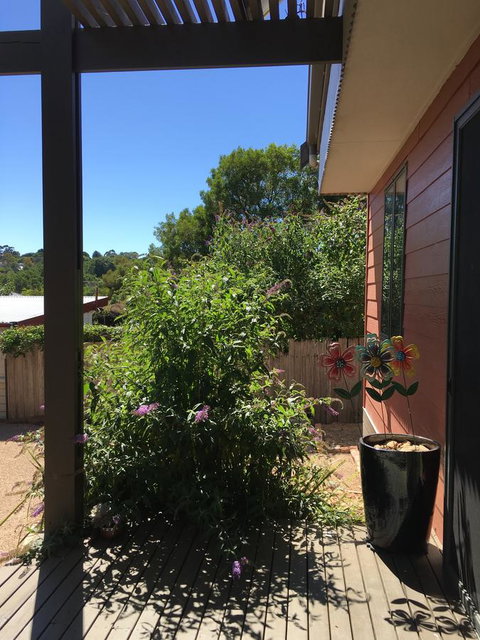 Daydream Cottage - Accommodation Great Ocean Road 10