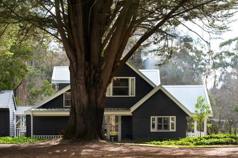 The Orchard - Accommodation Great Ocean Road 0