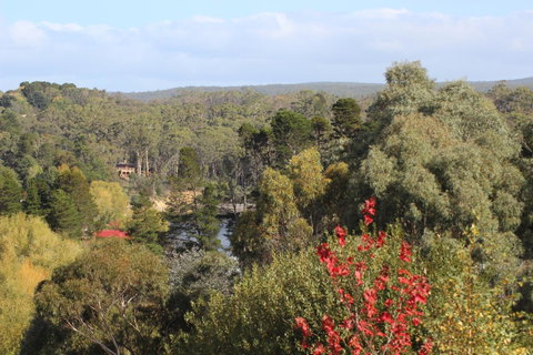 The Orchard - Accommodation Great Ocean Road 28