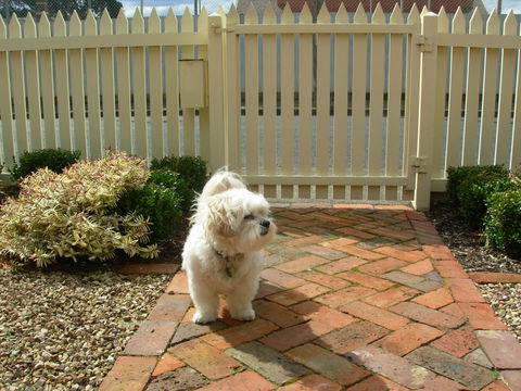 Sabina On Little Myers - Accommodation Great Ocean Road 24