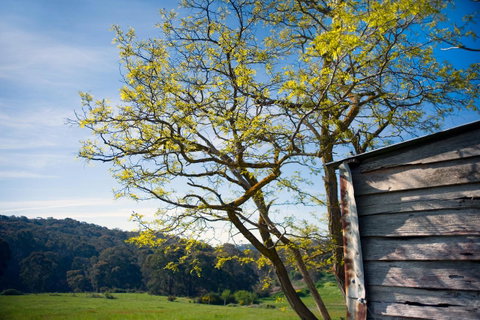 Cabrito - Accommodation Great Ocean Road 9