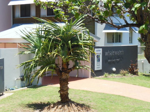 Whale Watch Ocean Beach Resort - Accommodation Great Ocean Road 15