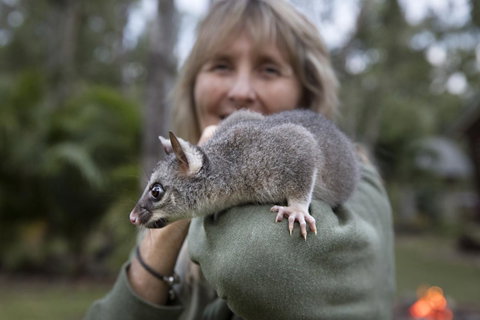 Airlie Beach Eco Cabins - Adults Only - Accommodation Great Ocean Road 11