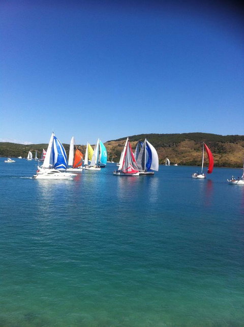 Montipora Unit 3 - In The Heart Of Airlie, Wi-fi And Netflix - Accommodation Great Ocean Road 19