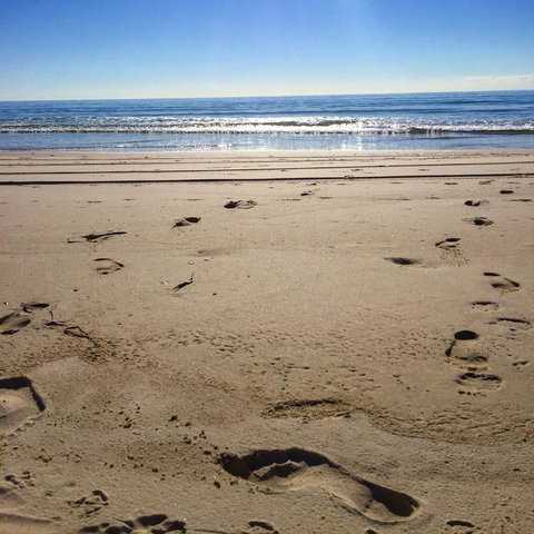 Kirra Surf Apartments - Accommodation Great Ocean Road 12