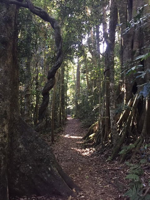 Kirra Surf Apartments - Accommodation Great Ocean Road 11