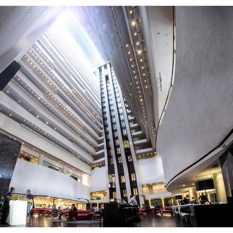 Hilton Brisbane - Accommodation Great Ocean Road 18