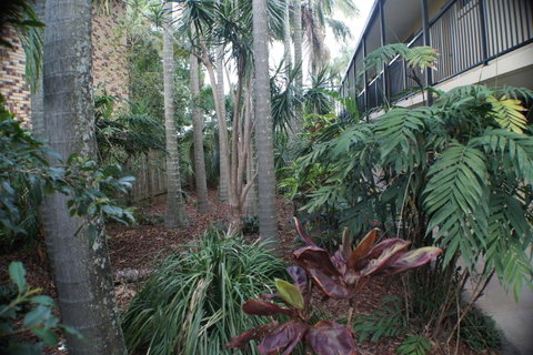 Best Western Airport 85 Motel - Accommodation Great Ocean Road 34