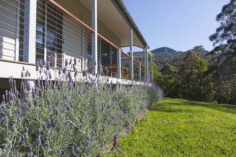 Wilderberry Cottage - Accommodation Great Ocean Road 3
