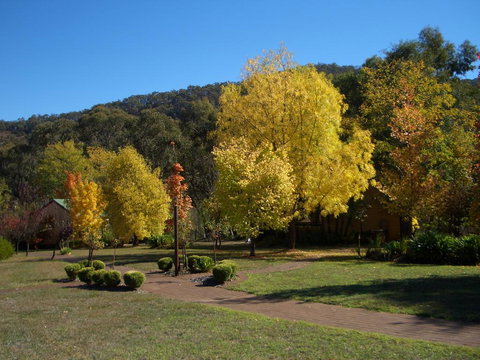 Willowlake Cottages - Accommodation Great Ocean Road 0