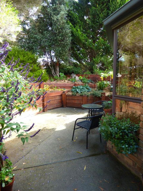 A Suite Spot In The Hills - Accommodation Great Ocean Road 4