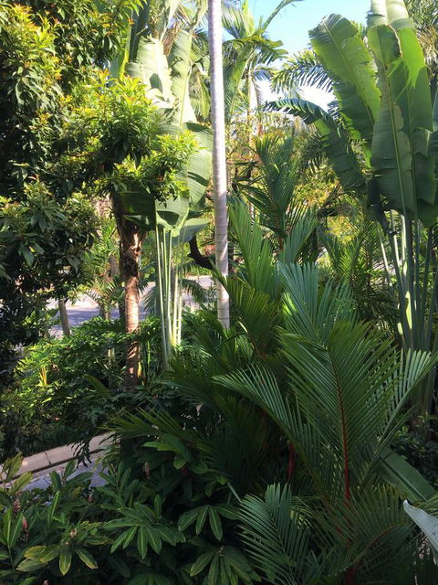 Port Douglas Apartments - Adults Only Oasis - Accommodation Great Ocean Road 1