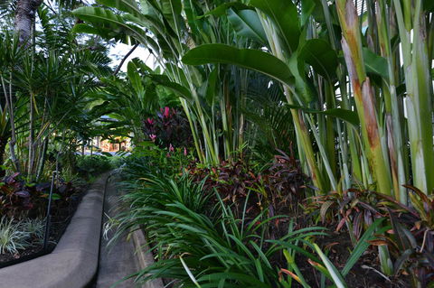 Port Douglas Apartments - Adults Only Oasis - Accommodation Great Ocean Road 9