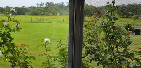 Hay Point Country BnB - Accommodation Great Ocean Road 6