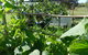 Hay Point Country BnB - thumb 17