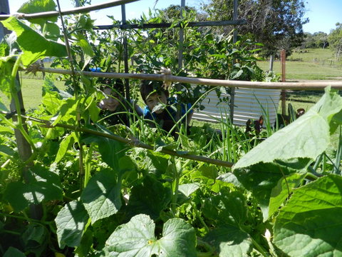 Hay Point Country BnB - Accommodation Great Ocean Road 17