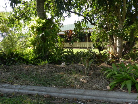 Hay Point Country BnB - Accommodation Great Ocean Road 23