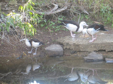 Hay Point Country BnB - Accommodation Great Ocean Road 22