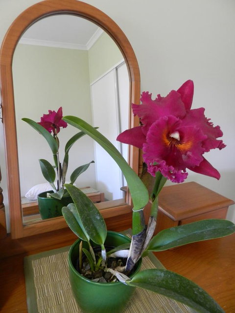 Hay Point Country BnB - Accommodation Great Ocean Road 10